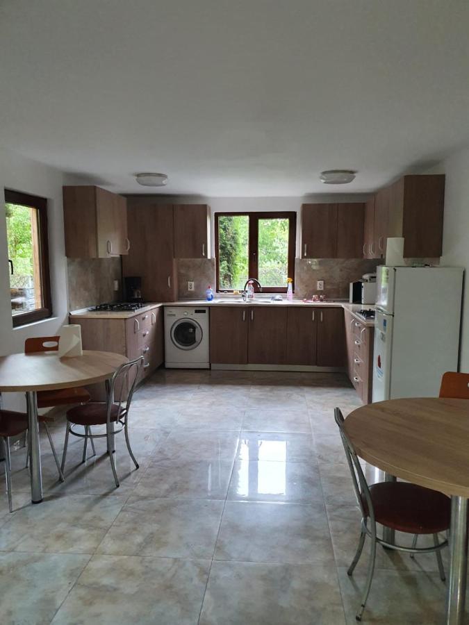 Daiana Residence Cabane Turda Extérieur photo