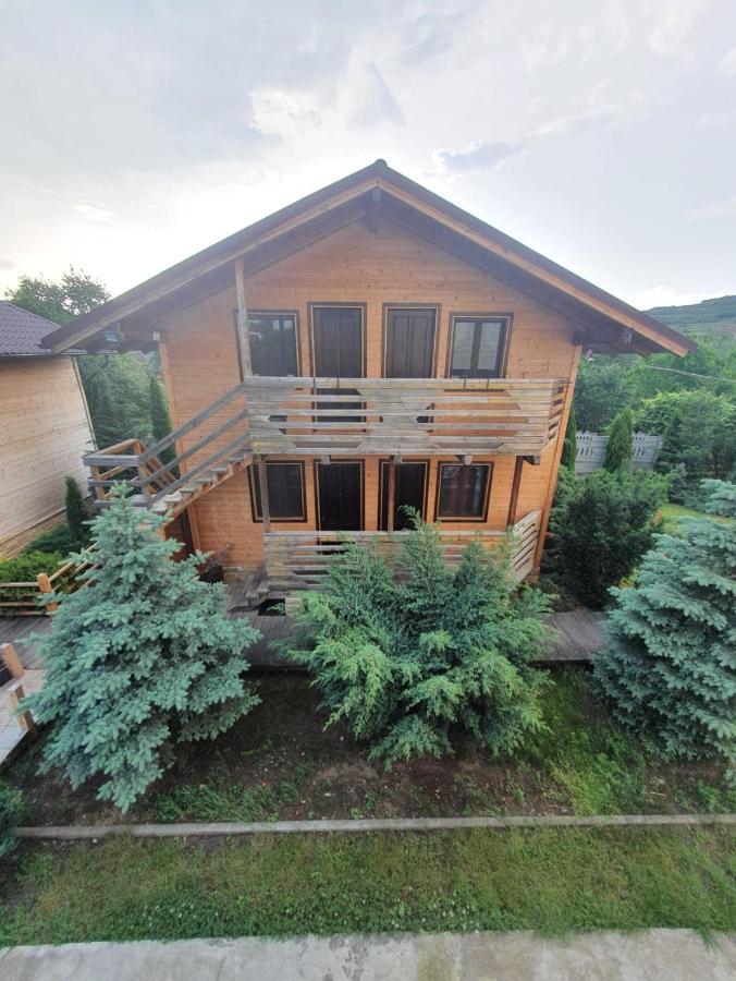 Daiana Residence Cabane Turda Extérieur photo