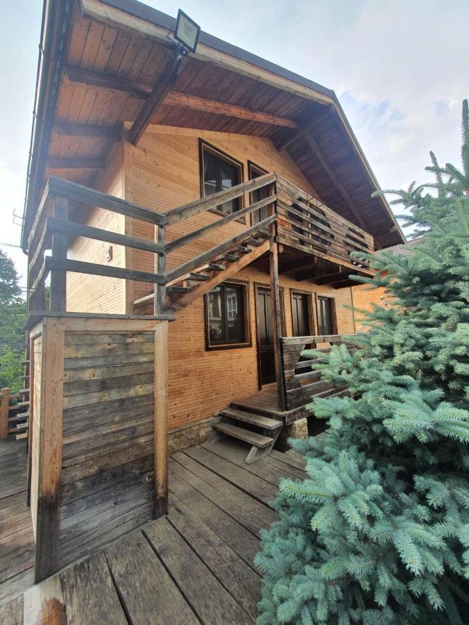 Daiana Residence Cabane Turda Extérieur photo